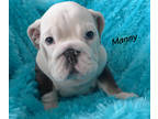 Manny~Blue
