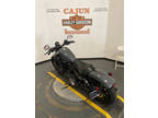 2022 Harley-Davidson XL883N