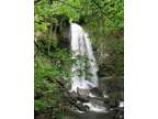 Holiday Cottage, South Wales Nr Waterfalls Brecons &