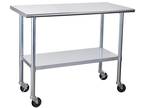 Hally Stainless Steel Table for Prep & Work 24 X 48 Inches
