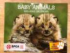 SPCA - Baby Animals - 2021-2022 Wall Calendar - 16 Months -