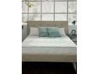 Zinus Quilted Pocket Spring Mattress-in-a-Box (8" ) Brand