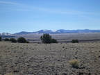 Arizona Land for Sale 1 Acre - Concho, AZ