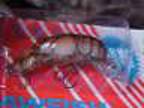 Rebel Ultra Lite Size Crawfish Lure for Bass/Panfish F7735