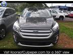 Used 2019 Ford Escape for sale.