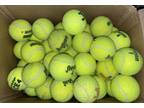 Lot Sixty-Five (65) Used Tennis Balls Clean Great for Dogs