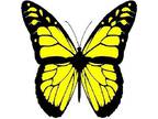 30 Custom Yellow Monarch Butterfly Personalized Address