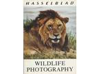 Hasselblad Wildlife Photography Guide