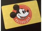 Disney World Platinum+ Pass - Annual Pass -Park Tickets -