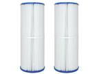 Guardian Pool Filter (phone) 2-Pack, Replaces PRB-S-75