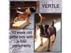 Adopt Yertle a Pit Bull Terrie