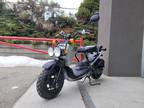 2022 Honda Ruckus Motorcycle for Sale
