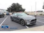 New 2022 Ford Mustang Fastback