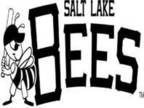 Bees Tonight - Great Seats!