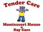 Required Passionate Preschool Franchise for Tender Care