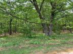 Plot For Sale In Montague, Michigan