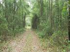 Plot For Sale In Mcalpin, Florida