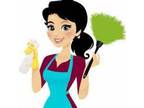 Cleaning Lady Affordable Professional