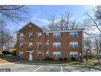 8342 Eastridge Ave #4 Takoma Park, MD 20912