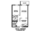 Regency Tower (Owen Sound) - 1 Bed 1 Bath B