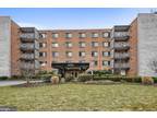 4800 Chevy Chase Dr #105 Chevy Chase, MD 20815