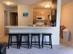 Apartment for rent- 1 BR