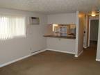 $450 / 1br - Spacious Remodeled 1 Bdr Only