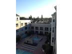 $3800 / 2br - 1135ft² - Madera - Luxury Apts in Downtown MV.