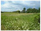 Chelsea, MI, Washtenaw County Land/Lot for Sale