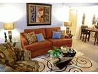 $554 / 1br - 822ft² - Situated Near Eclectic Shopping and Fine Dining!