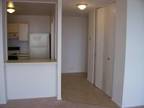 $900 / 1br - 680ft² - ****1 bdrm Downtown-City Views-FREE HEAT-Short term