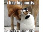 I Like Big Mutts and I Cannot Lie*****