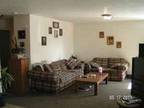 $600 / 2br - 900ft² - Nephi apt , 2 available (Nephi UT) (map) 2br bedroom