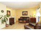 $300 / 2br - 800ft² - Condo with cat available from Dec 12-Jan 2 (30 and