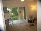 $969 / 2br - Great Place to Call Home (Gainesville FL) 2br bedroom