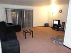 $509 / 2br - 950ft² - Sublease: SPACIOUS 2 bed/1 bath; FREE HEAT; pets welcome!