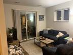 1 BR Apartment For Sublease - Beautiful/Downtown Available December 1