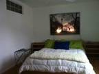 $1275 / 1br - 700ft² - Short term STUDIO (North Oakland) (map) 1br bedroom