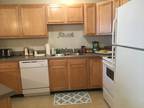 Apartment for rent! 1bed 1bath.