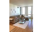 South loop apartment for sublease