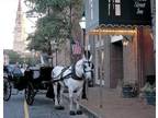 $1400 / 1br - Church Street Hotel - Sleeps 4