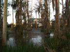 $199 Waterfront Vacation Home**Bayou Fever