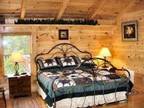 $210 / 3br - Bear Pause, Beautiful custom built cabin near Ober ski resort