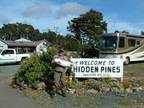 $25 COAST RV Camp in Fort Bragg RESORT~Mendocino Coast~