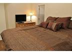 $175 / 2br - 945ft² - 2 Bedroom, 2 Bathroom Snowblaze Condo.