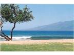 Cozy Maui Condo near Kaanapali across from Beach Park!