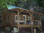 $65 / 2br - Cabin in the woods (Dansville, NY) 2br bedroom