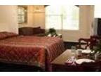 $65 / 1br - Branson March 25-30 Other dates available (The Suites at Fall Creek)
