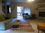 $1700 / 2br - 2000ft² - Large Light Cozy Condo in Town w/FP