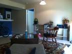 $250 / 2br - 1000ft² - $250 / 2 bed/2bath / SXSW Condo on East Side